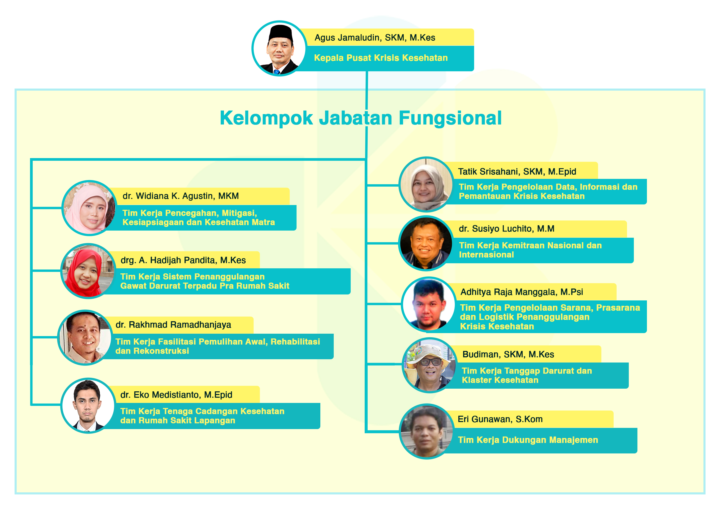 Organization Structure