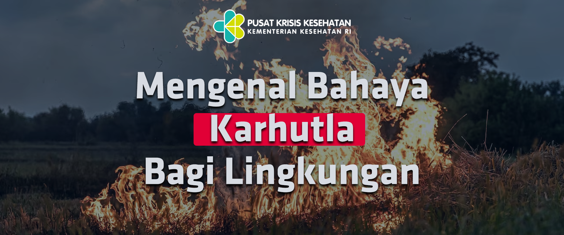 Mengenal Bahaya Karhutla Bagi Lingkungan